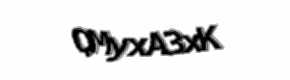 Security check image, please type the characters shown