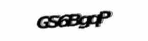 Security check image, please type the characters shown